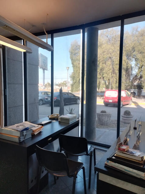 Enrollable Traslúcida Screen